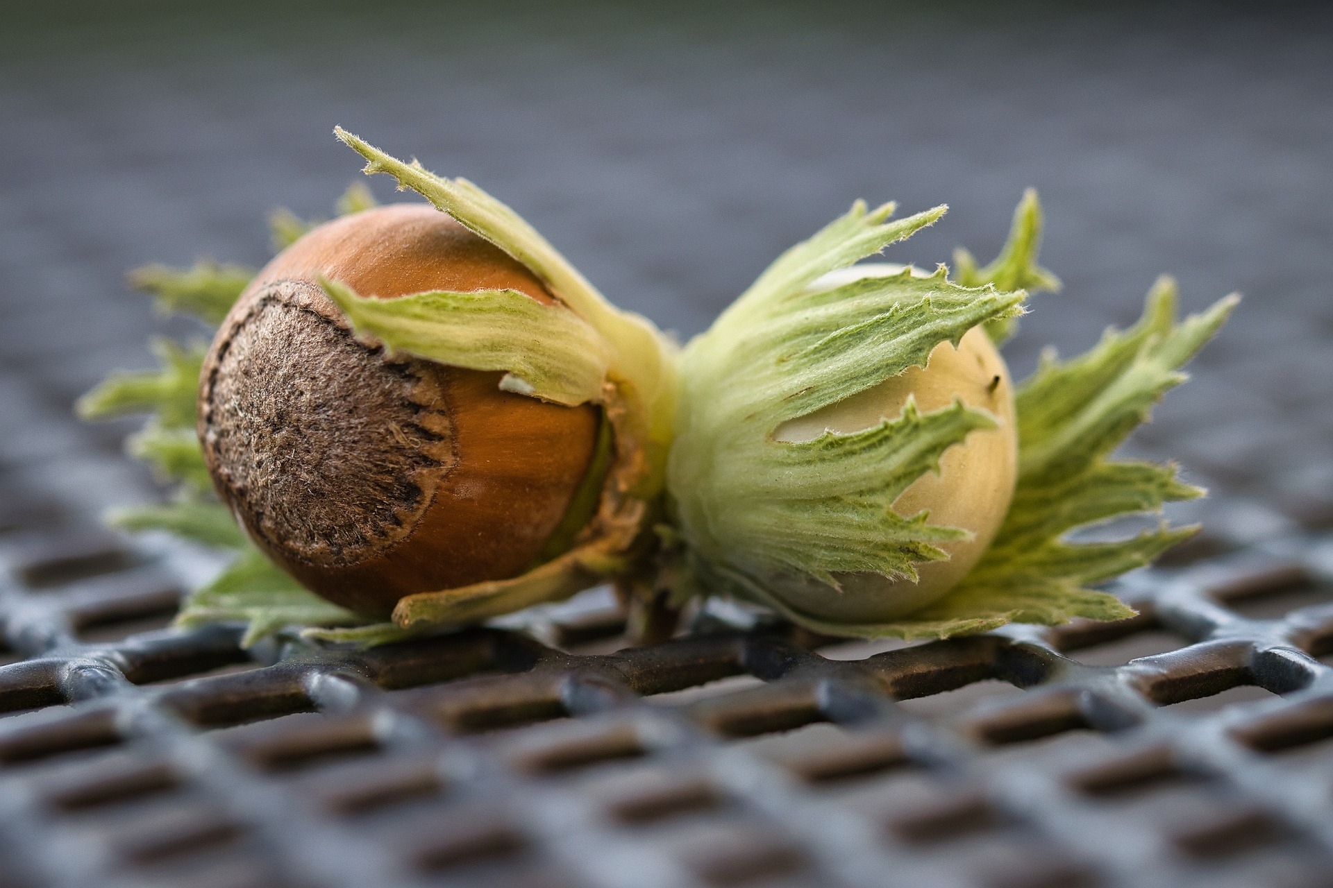 Etichetta per nocciole e frutta secca