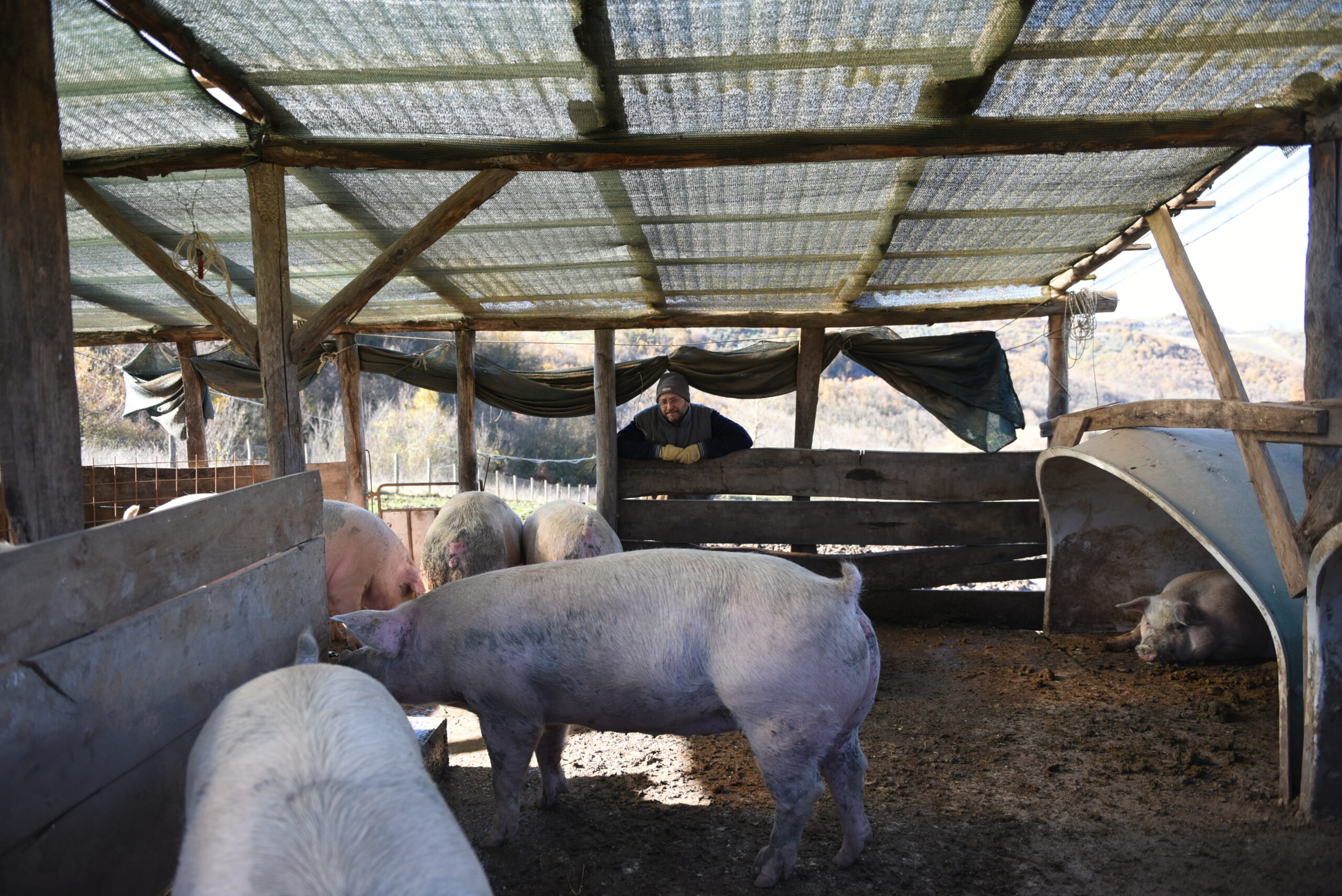 Azienda Agricola Biancaniello